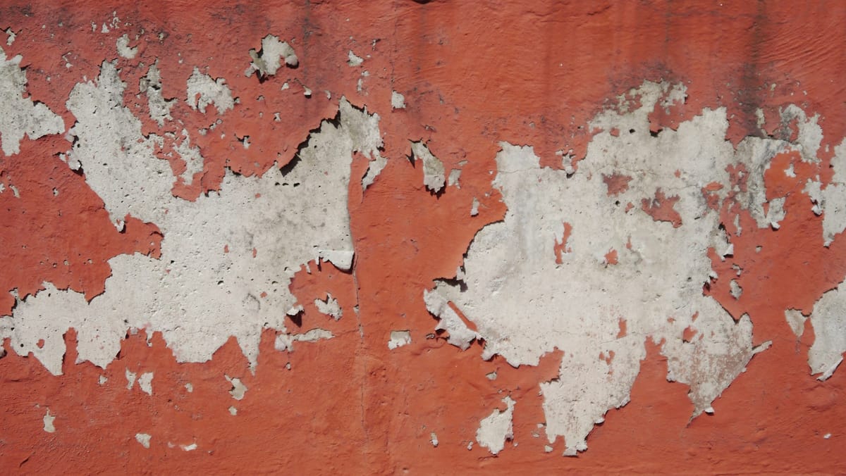 What We're Meant to Misplace