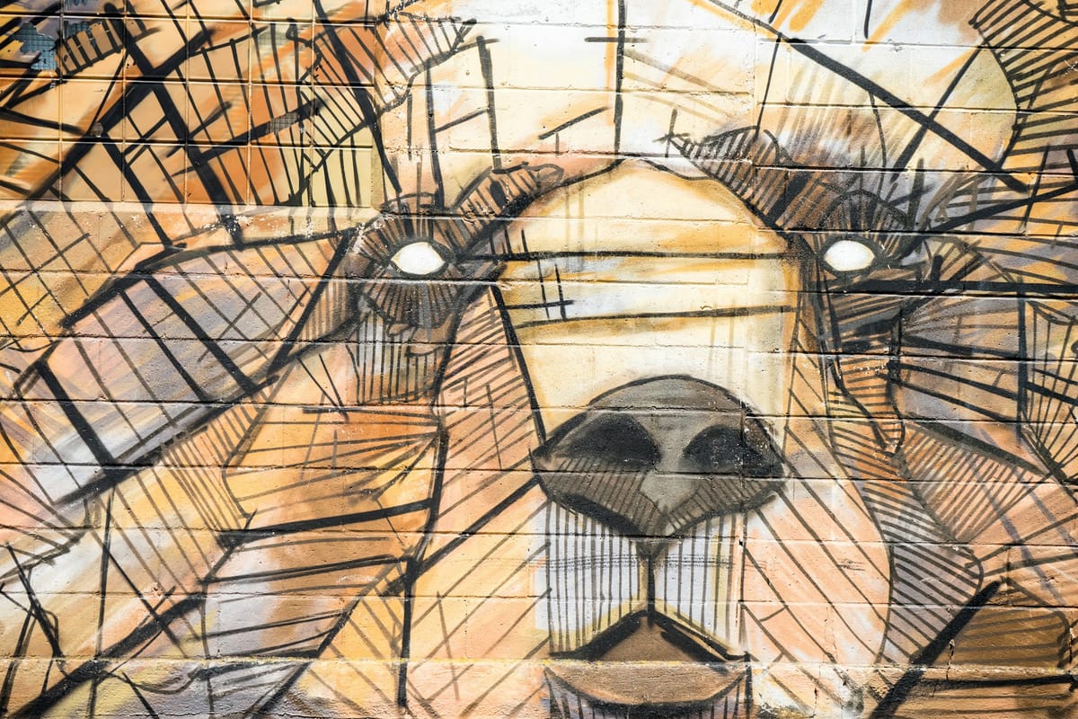 My Dog, The Philosopher: Part 1